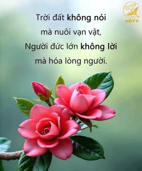 Hãy luôn tích cực mỗi ngày
